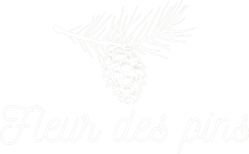 Logo Fleur des Pins Arcachon